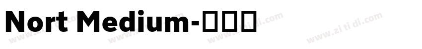 Nort Medium字体转换
